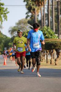 BIB: 6590, 8671
                            <button type="button" onclick="openModal(3499172)" class="btn btn-primary btn-sm float-right btn-popup" data-toggle="modal" data-target=".modal-high-quality">
                        <i class="fas fa-shopping-cart"></i> Add to Cart
                    </button>
                                            <button type="button" onclick="isThisMe(3499172, true)" class="btn btn-success btn-sm float-right btn-popup btn-isme hidden" data-toggle="tooltip" data-placement="bottom" title="นี่คือรูปของคุณใช่ไหม คลิกที่นี่เพื่อเอาเข้าอัลบั้ม">
                        <i class="fas fa-plus"></i> Add to album
                    </button>
                    <button type="button" onclick="isThisMe(3499172, false)" class="btn btn-warning btn-sm float-right btn-popup btn-isnotme hidden">
                        <i class="fas fa-ban"></i> Remove from album
                    </button>